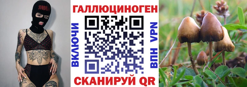 Псилоцибиновые грибы ЛСД  где продают наркотики  Куртамыш 